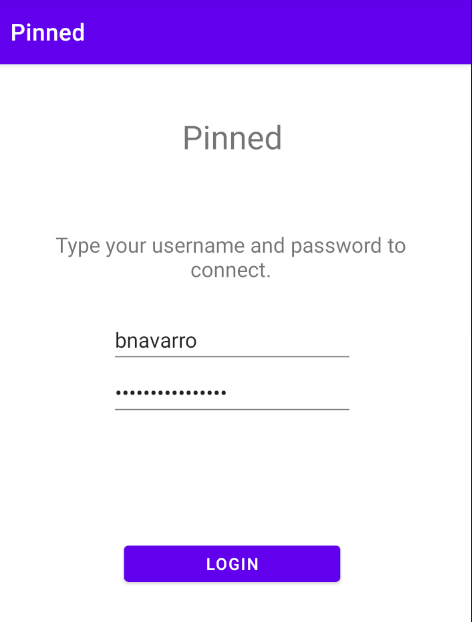 Pinnned Login